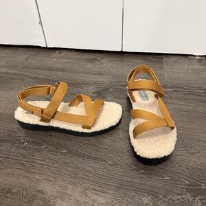 New in Box Everlane Brown The ReNew Teddy Sport Sandal